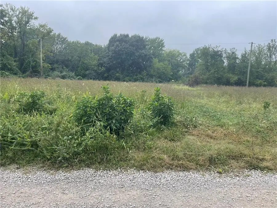 00000 Ramona Drive, Odessa, MO 64076 - #2