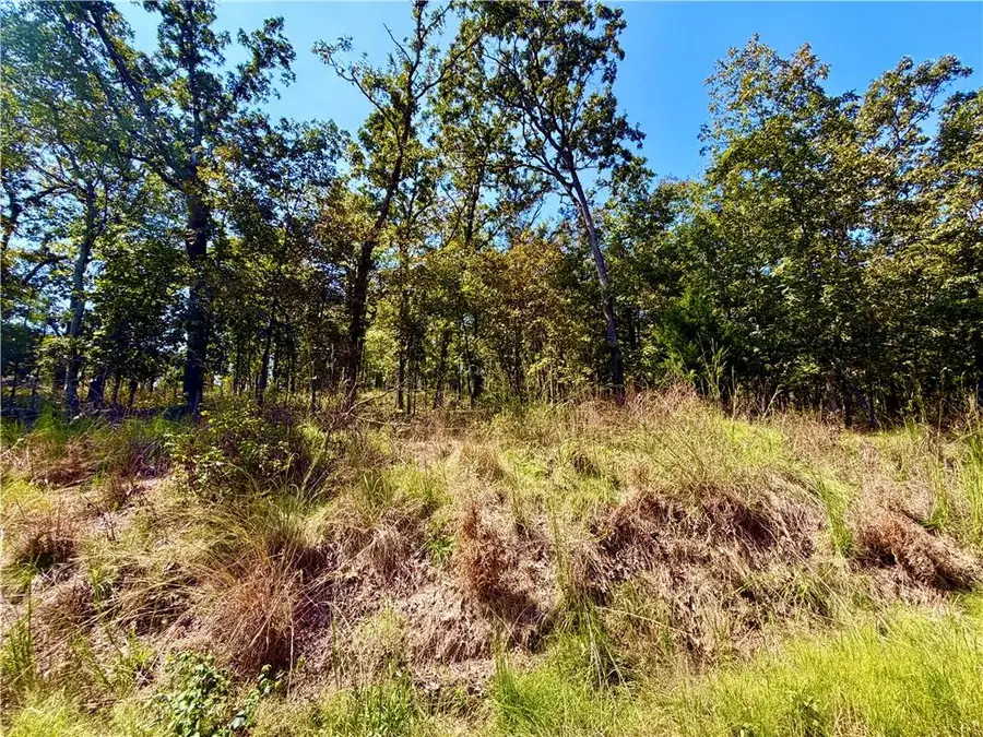 Off Saint Saveur Drive, Edwards, MO 65326 - #3