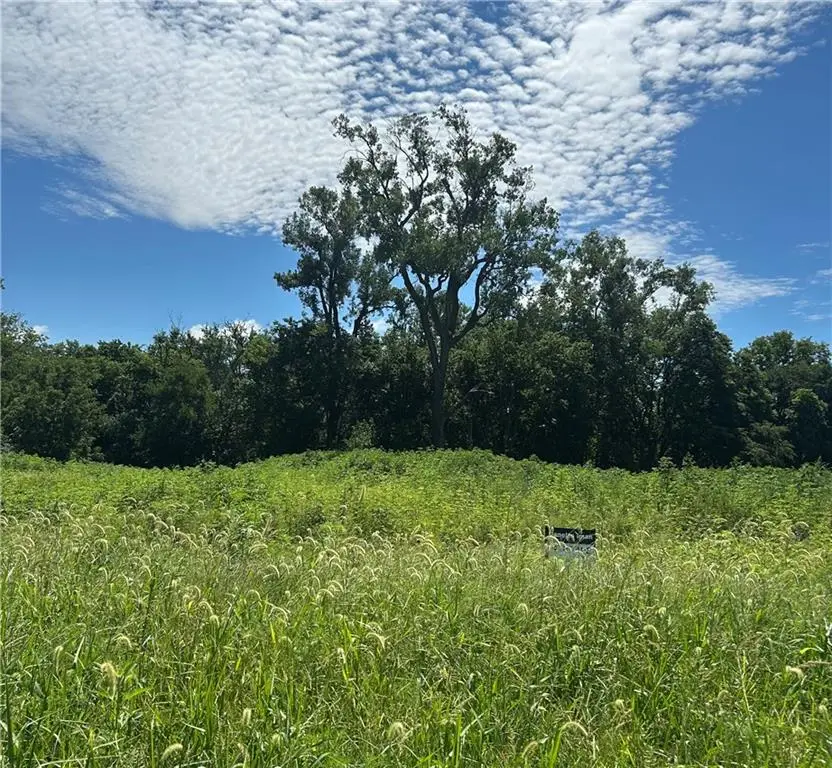 Lot 4 Hope Lane, Odessa, MO 64076 - #1