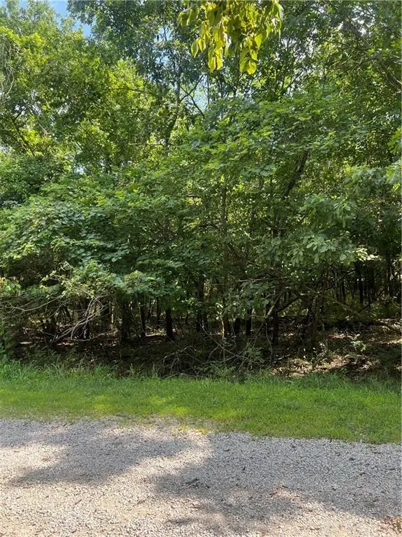 6 Misty Lane, La Cygne, KS 66040 - #2