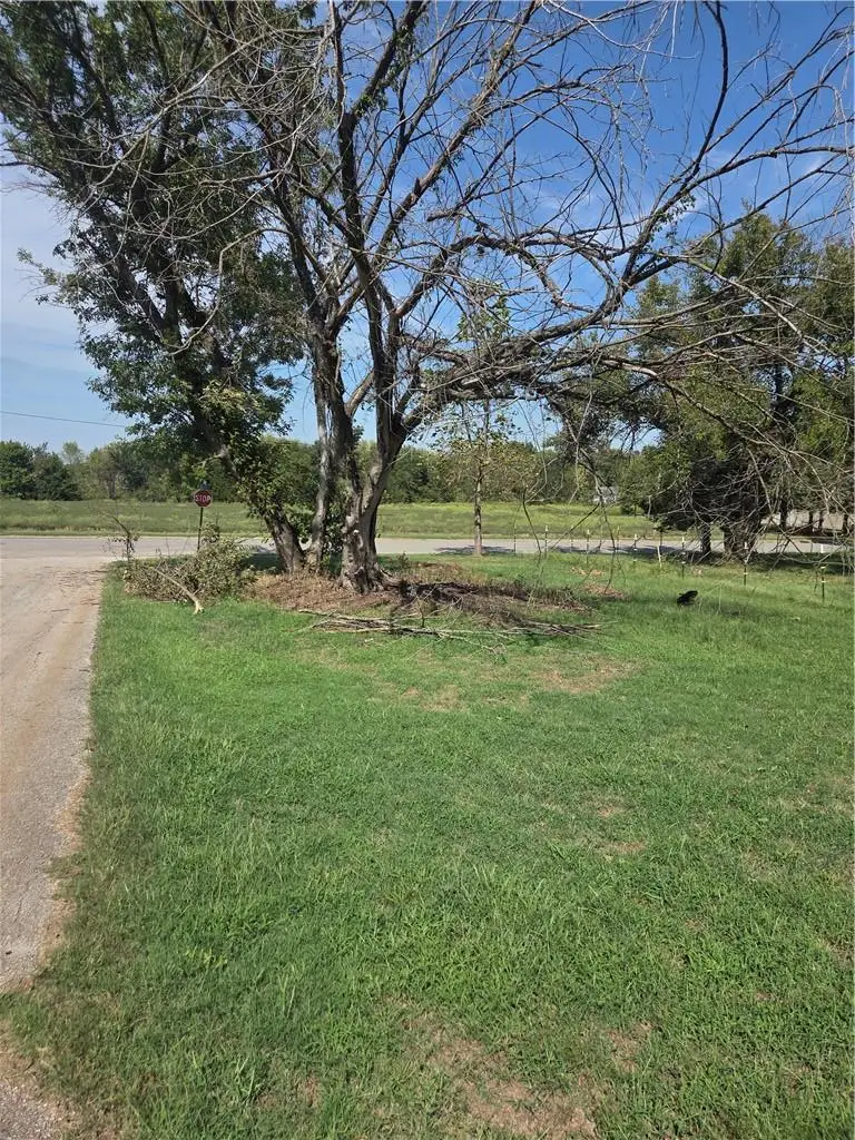 Alfred Street, Mulberry, KS 66756 - #2