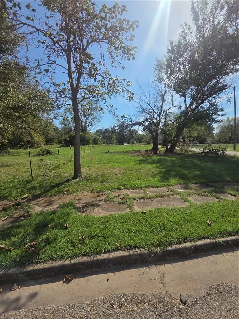 Alfred Street, Mulberry, KS 66756 - #3