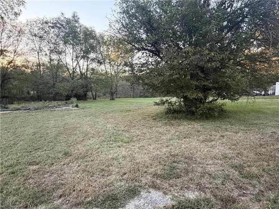 Allen Lot B Street, Butler, MO 64730 - #3