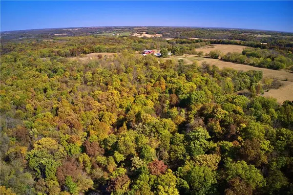 19904 Rattlesnake Road, Richmond, MO 64085