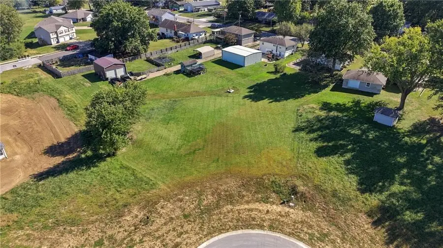 704 Cobb Circle, Odessa, MO 64076 - #3