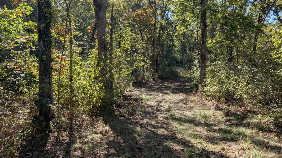 5740B 731 Road, Collins, MO 64738 - #3