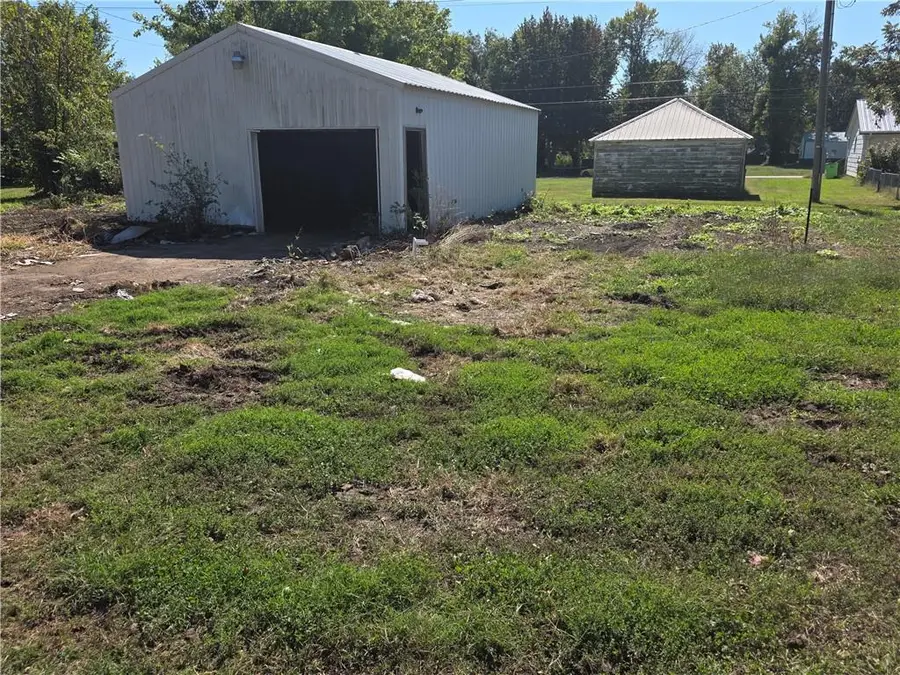 117 E Park Avenue, Rich Hill, MO 64779 - #2