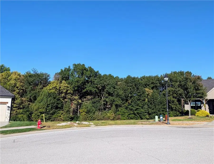 1810 Falcon Court, Kearney, MO 64060 - #3