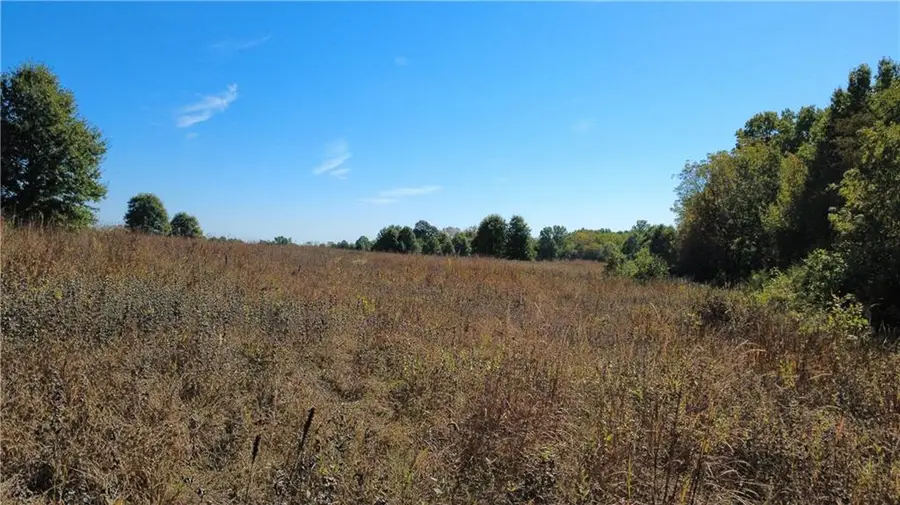 237th Street, Ridgeway, MO 64481 - #2