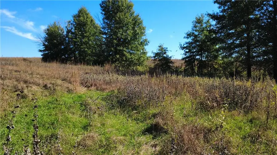 237th Street, Ridgeway, MO 64481 - #3