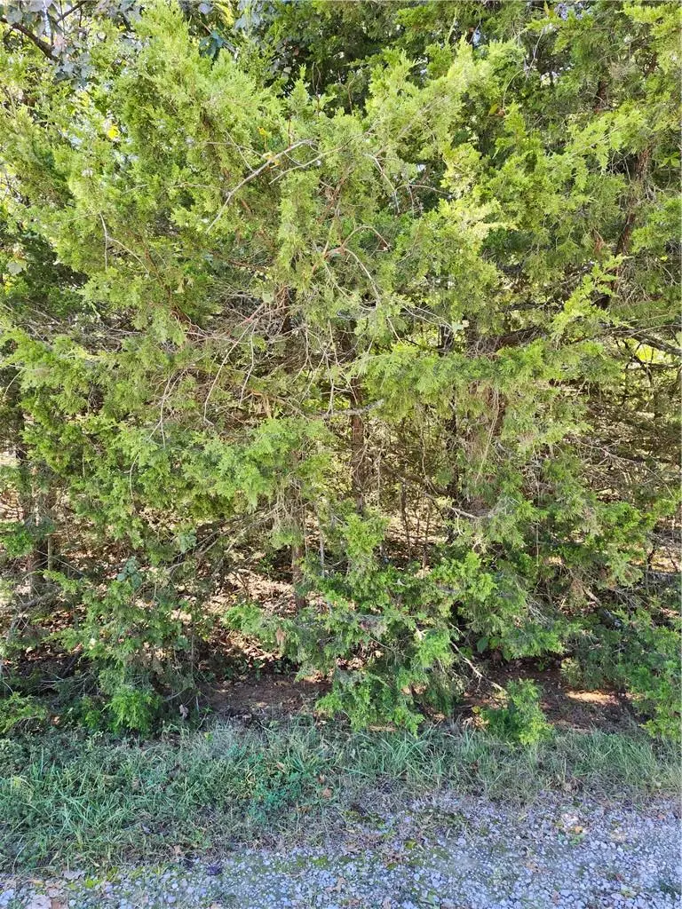 6 W Ridgewood Circle, Linn Valley, KS 66040 - #3