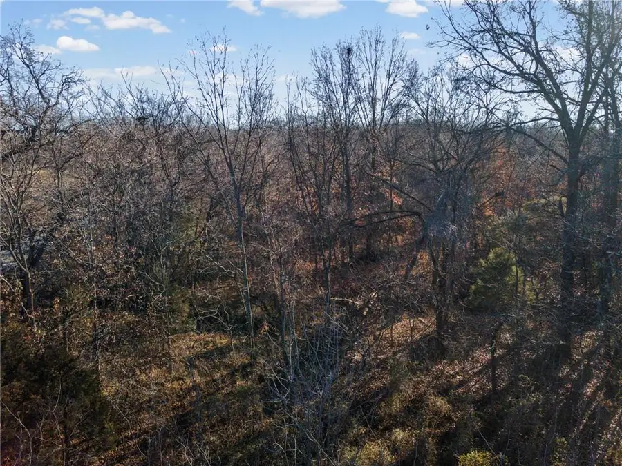 16 +/- Acres E Dakota Street, Butler, MO 64730 - #2