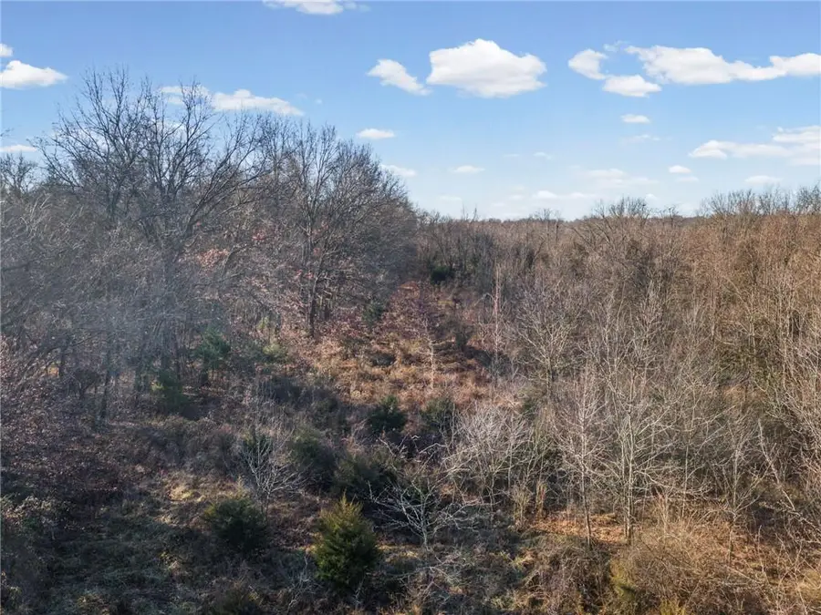 16 +/- Acres E Dakota Street, Butler, MO 64730 - #3