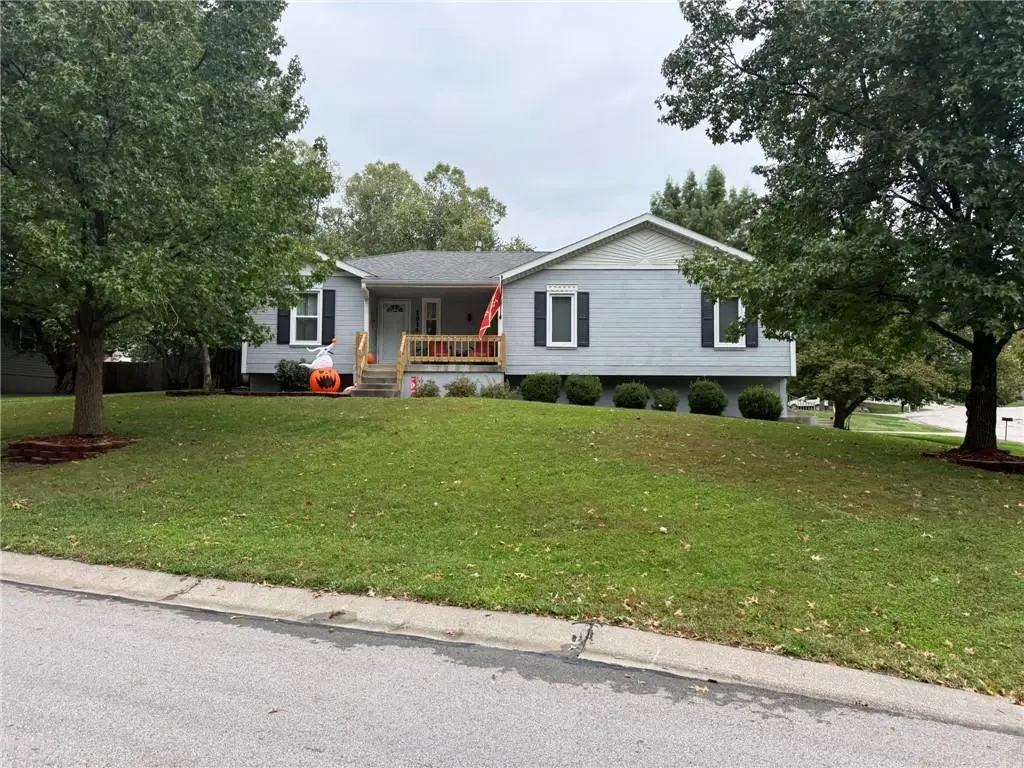 1914 Meadowlane Street, Kearney, MO 64060 - #1