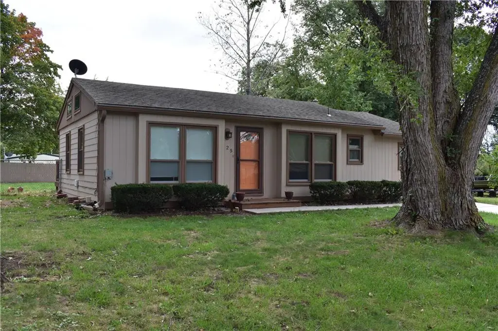 225 King Street, Baldwin City, KS 66006 - #1
