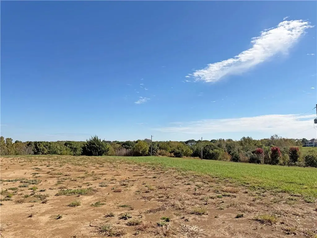 Lot 2 131st Street, Leavenworth, KS 66048 - #1