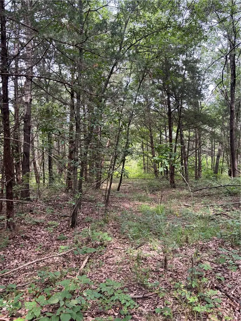 Juniper Avenue Avenue, Middlefork, MO 64499 - #1