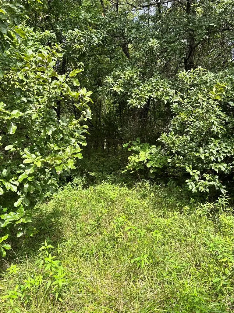 Juniper Avenue Avenue, Middlefork, MO 64499 - #2
