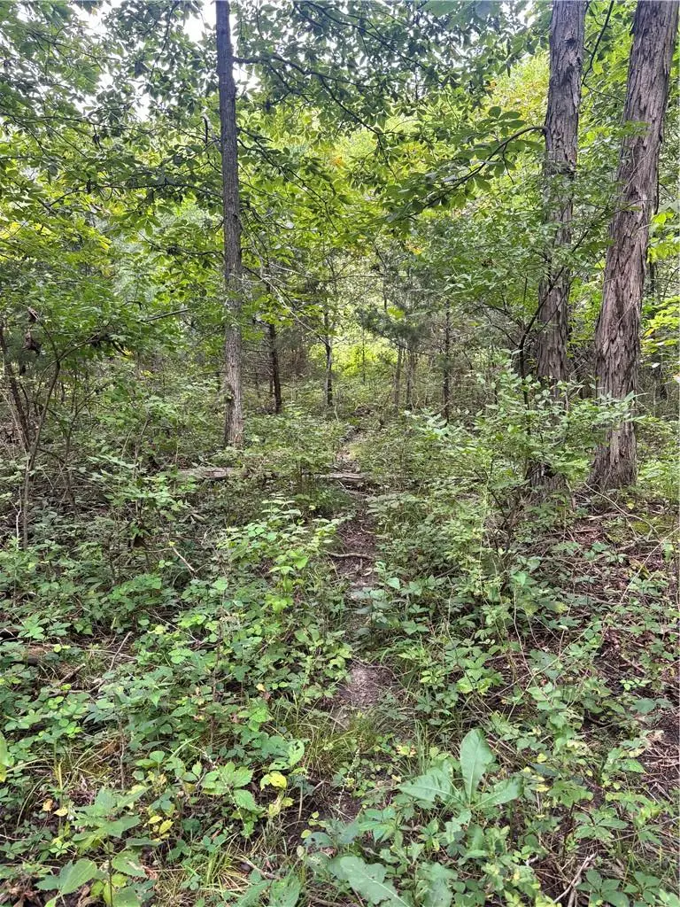Juniper Avenue Avenue, Middlefork, MO 64499 - #3