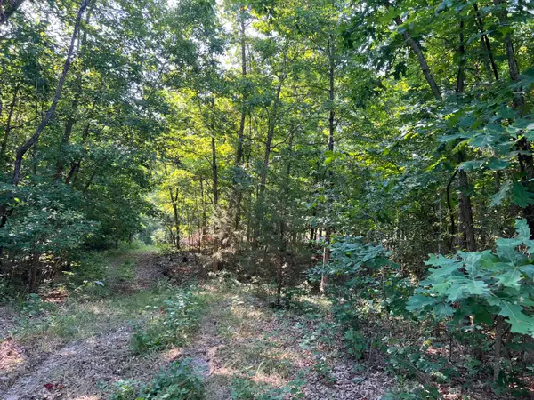 2371 County Road 359, Thayer, MO 65791