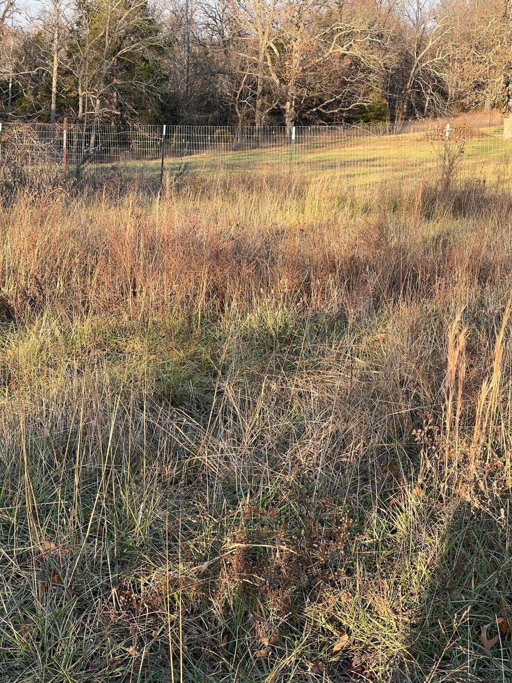 8189 Co Road O532, Ava, MO 65608 BHGRE