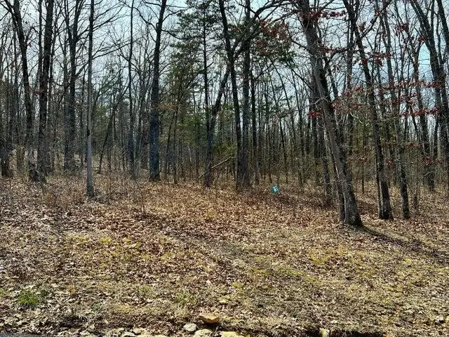 #3