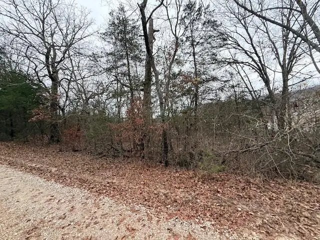 0 Linden Lane, Shell Knob, MO 65747 - Image #2