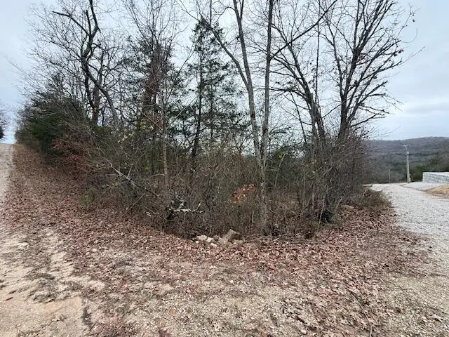 0 Linden Lane, Shell Knob, MO 65747 - Image #3