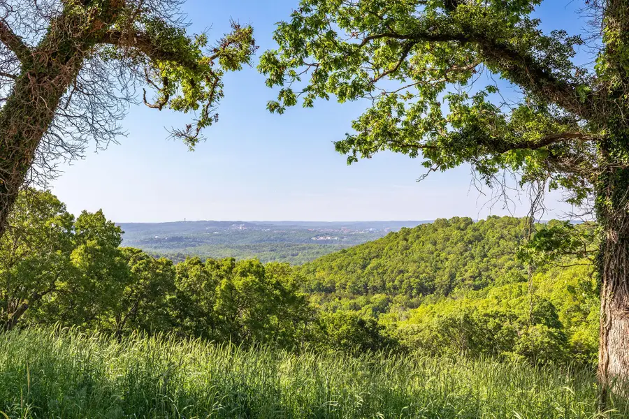 141 Backwoods Loop #73, Hollister, MO 65672 - Image #2