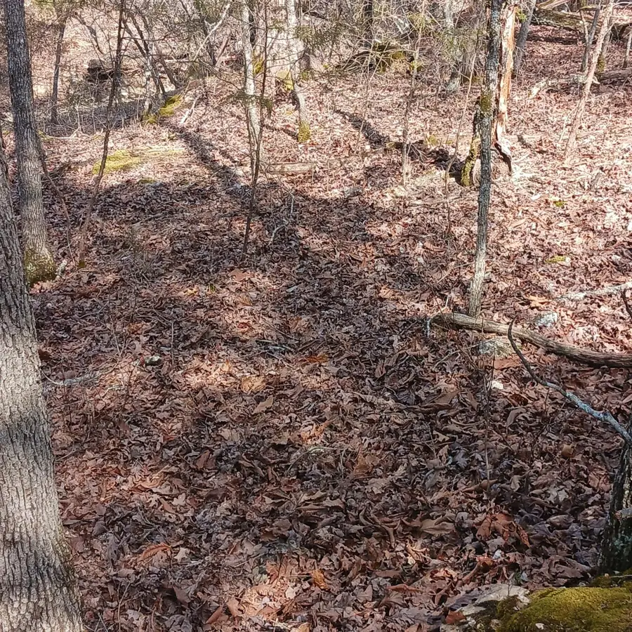 #37,38,39 000 Meadow Lane, Theodosia, MO 65761 - Image #2