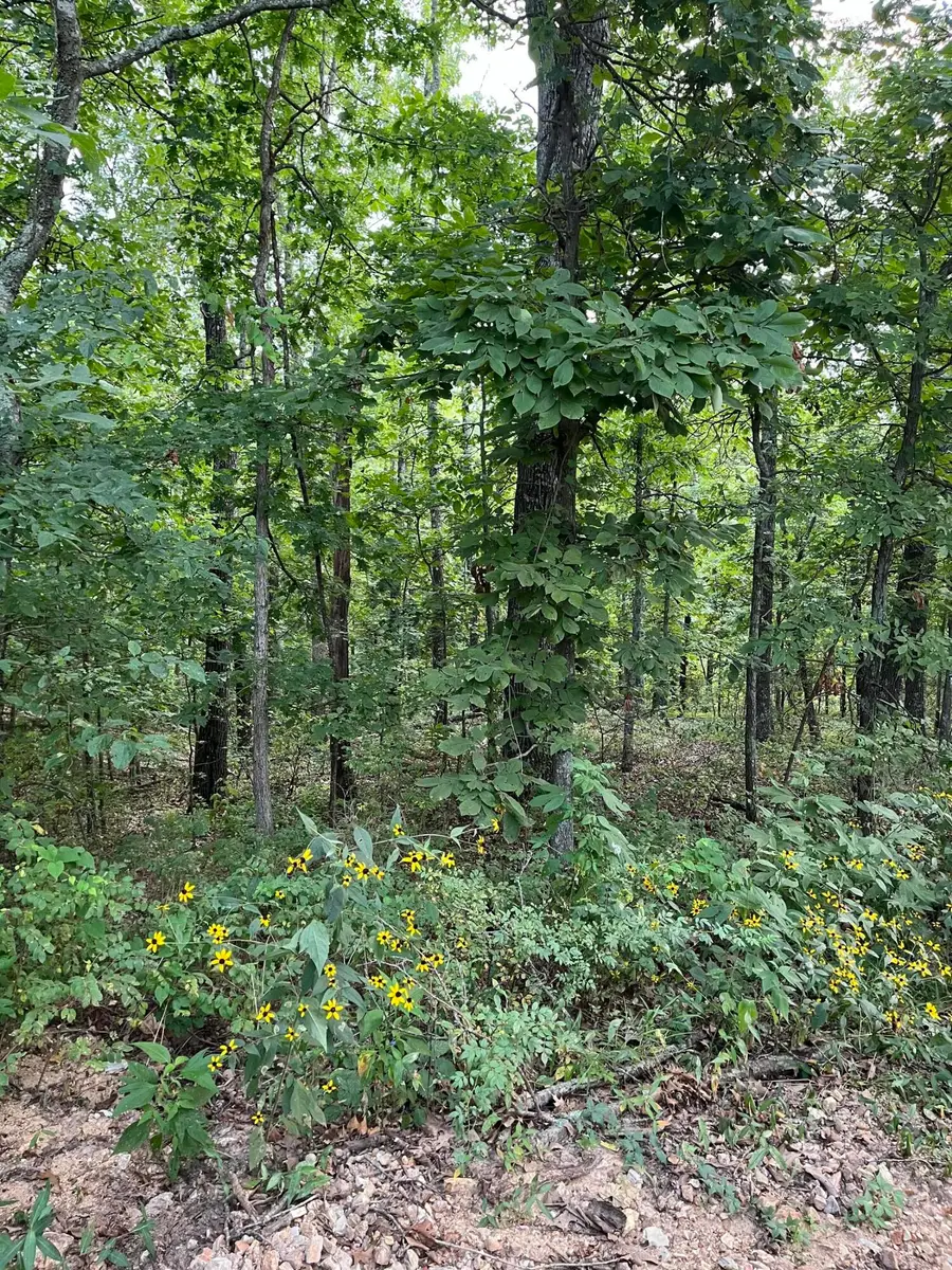 Tbd Hylton Drive, Norwood, MO 65717 - Image #2