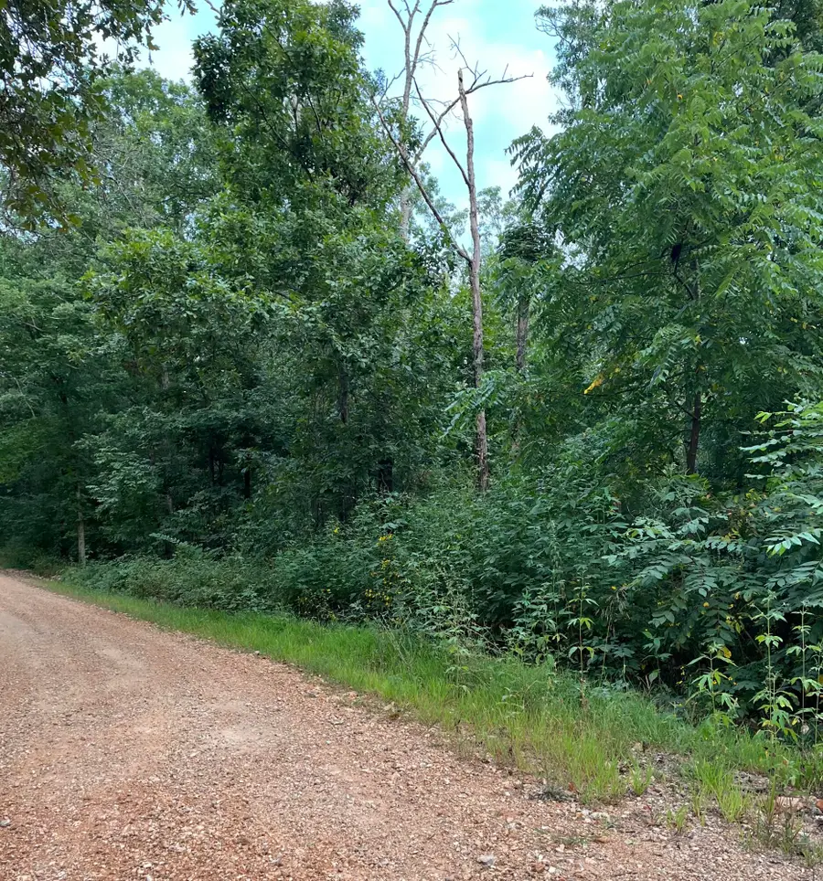 Tbd Hylton Drive, Norwood, MO 65717 - Image #3