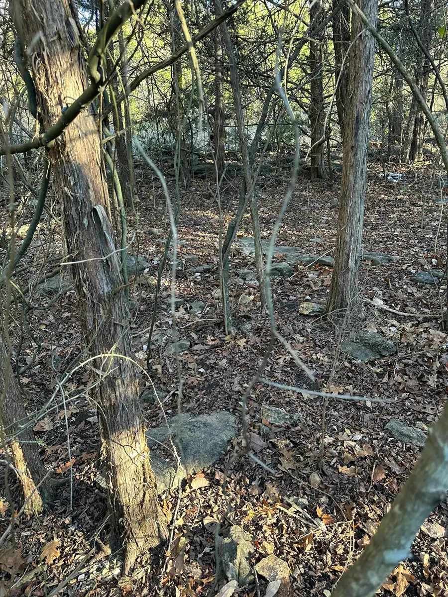 #3