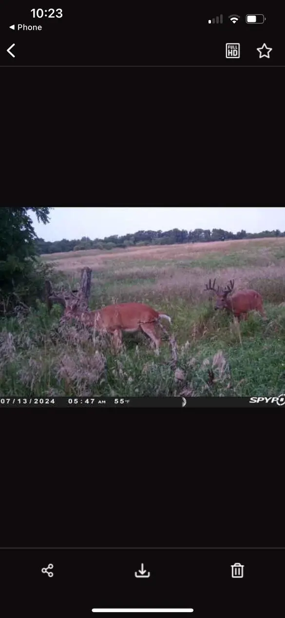 #3
