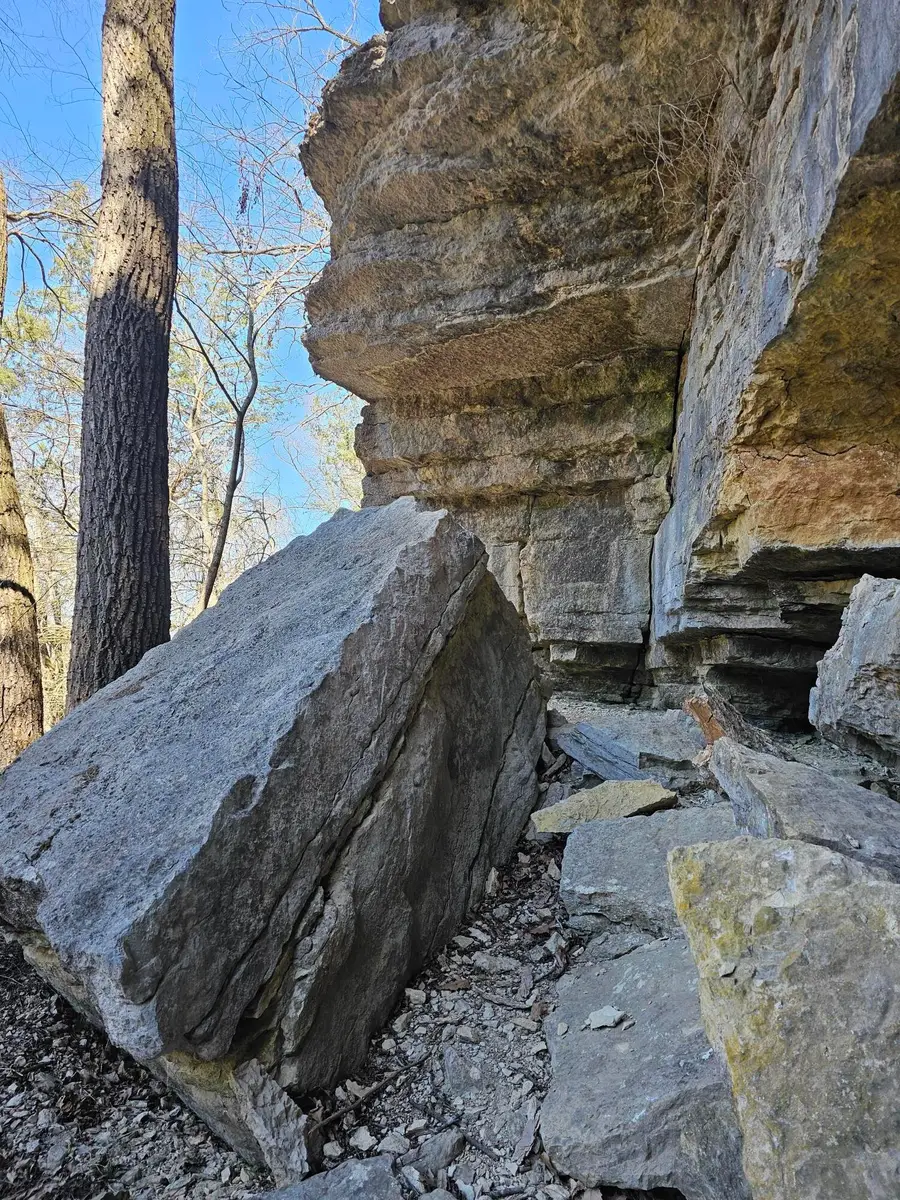 #3