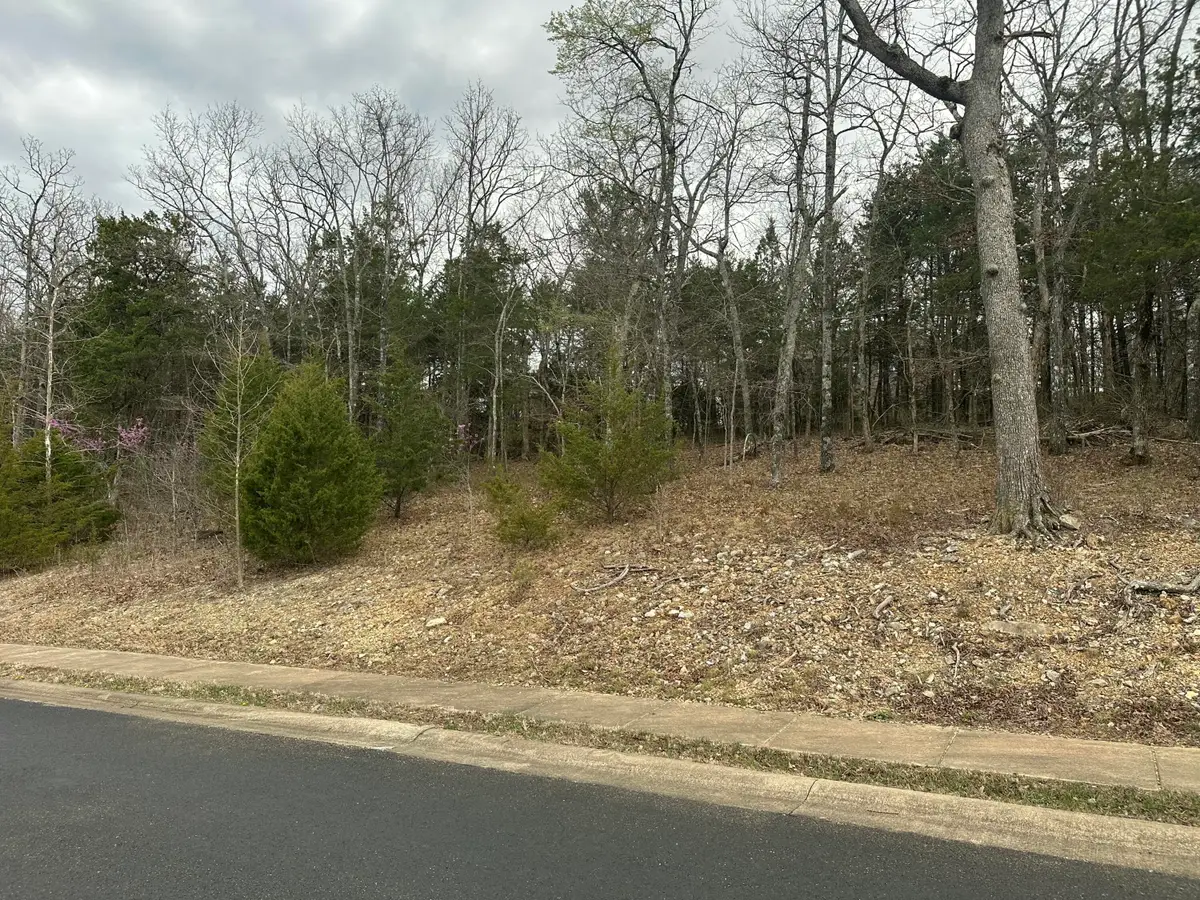 Lot 64 Royal Dornoch Drive, Branson, MO 65616 - #1