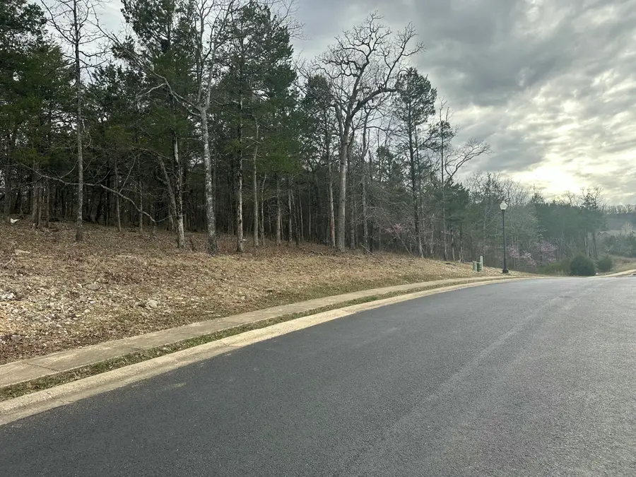 Lot 64 Royal Dornoch Drive, Branson, MO 65616 - #3