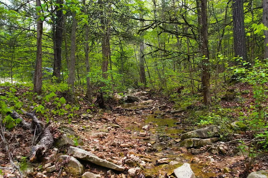 Tbd Salmon Street & Muskie Street, Kissee Mills, MO 65680 - Image #3