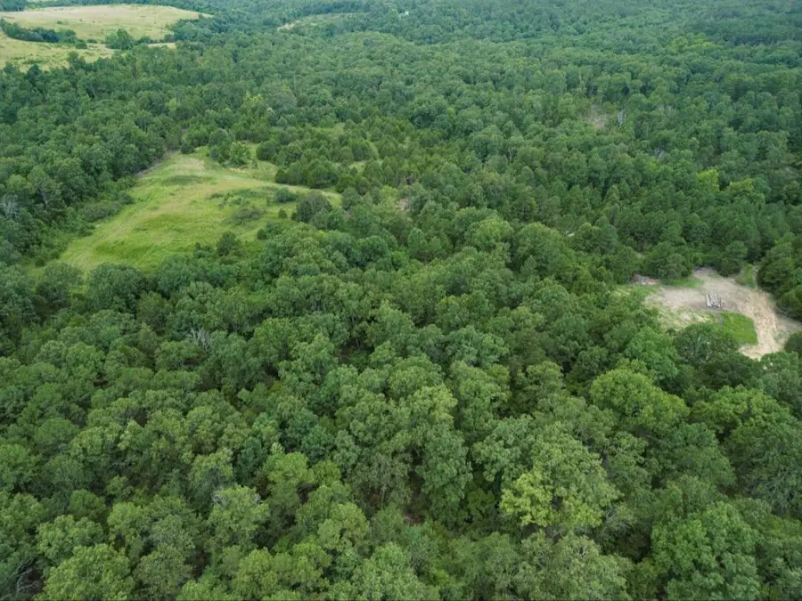 Section B State Highway Ff, Zanoni, MO 65784 - Image #3