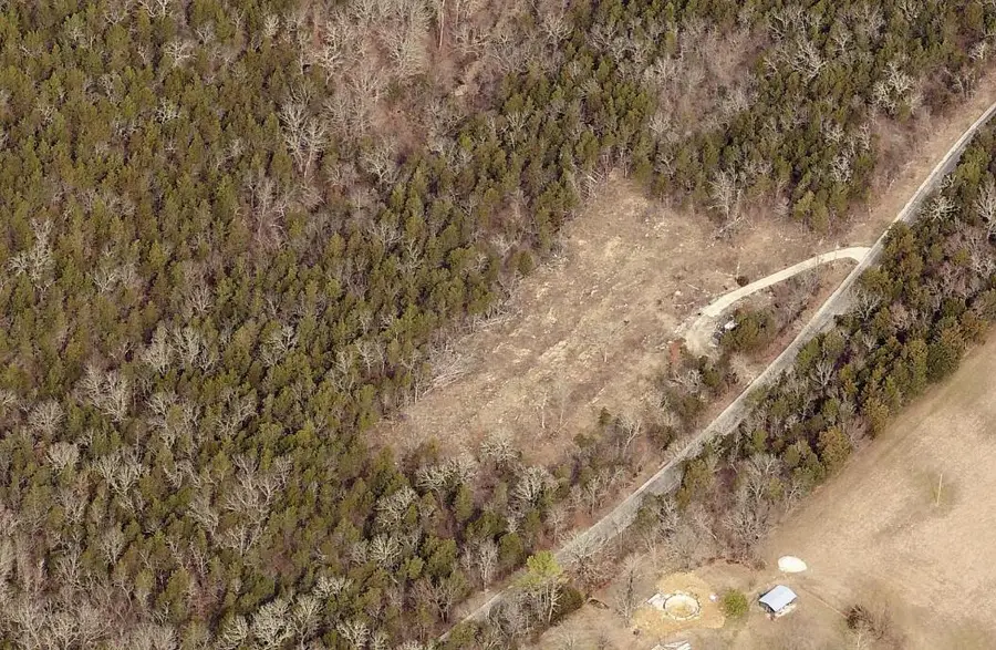 825 Cane Creek Road, Kissee Mills, MO 65680 - Image #3