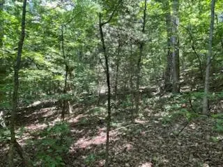 #3