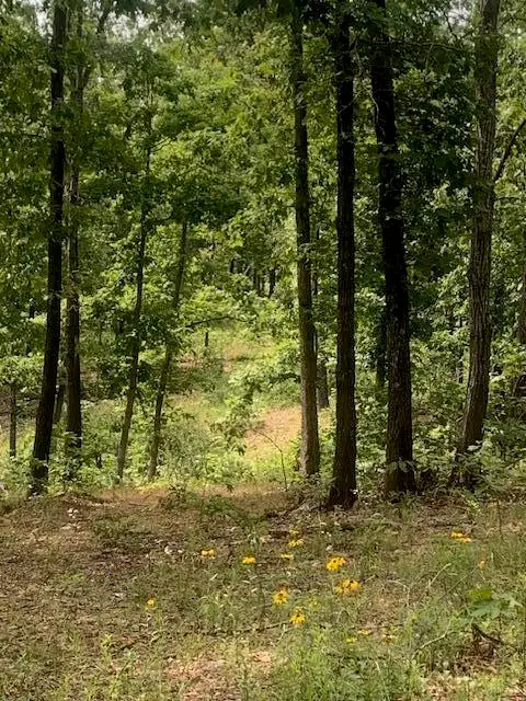 #2