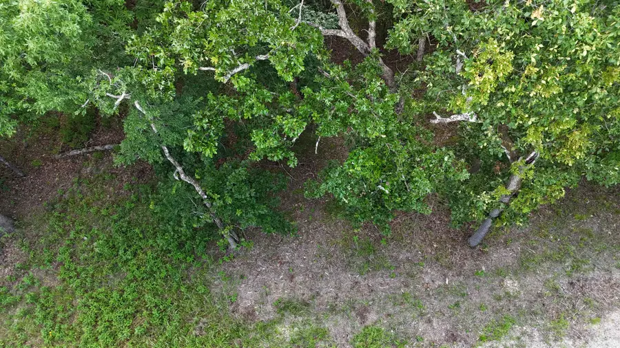#3