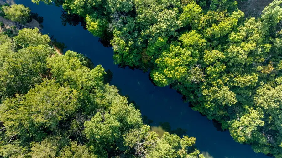 000 State Hwy 32, Buffalo, MO 65622 - Image #3