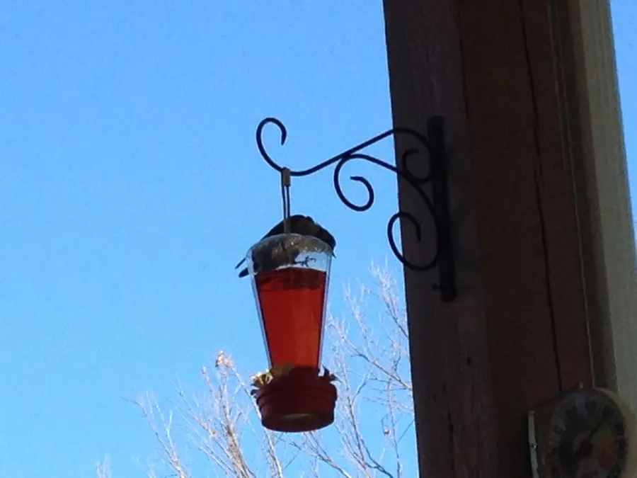 301 Dakota Road, Branson, MO 65616 - Image #2