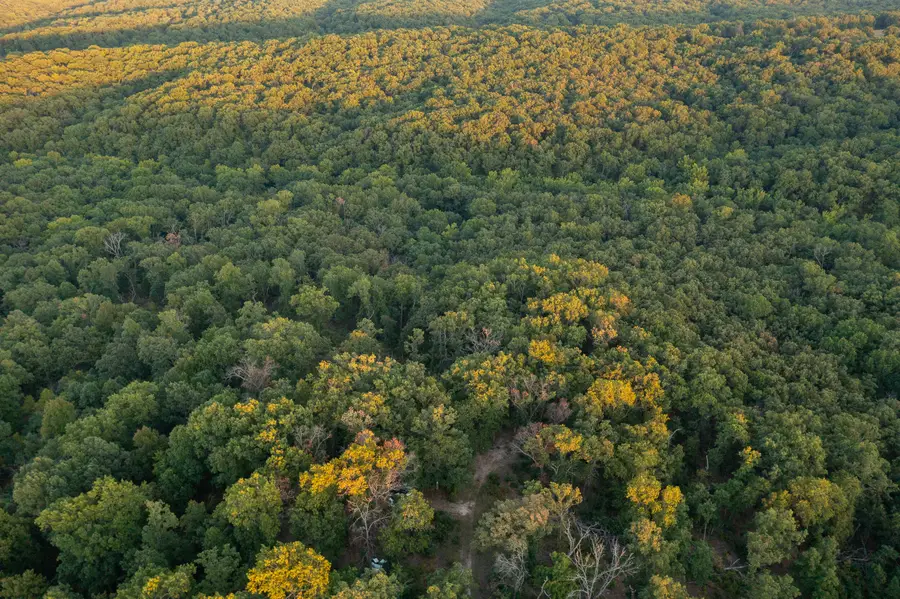 000 Partridge Drive, Climax Springs, MO 65324 - Image #2