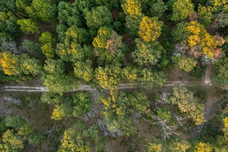 000 Partridge Drive, Climax Springs, MO 65324 - Image #3