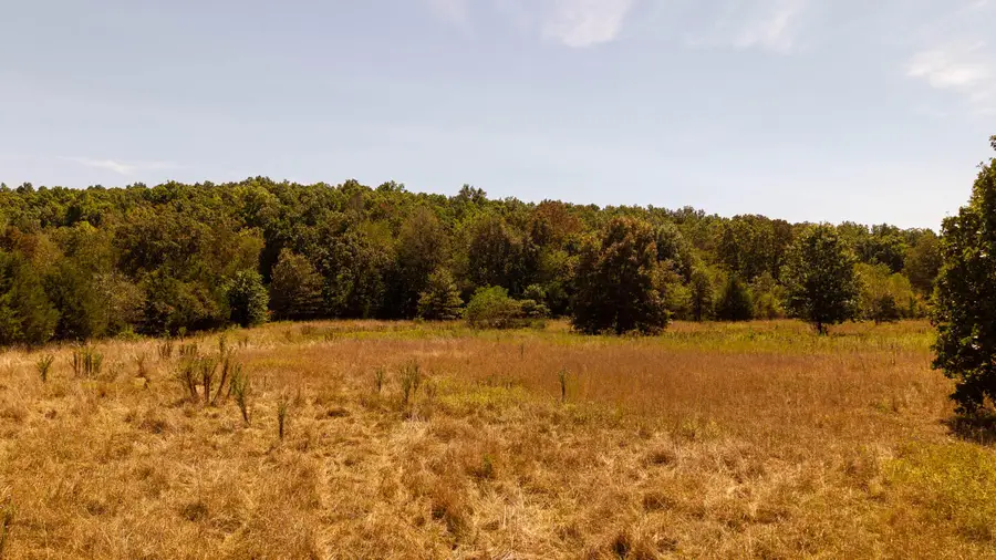 2000 County Road 100, Alton, MO 65606 - Image #3