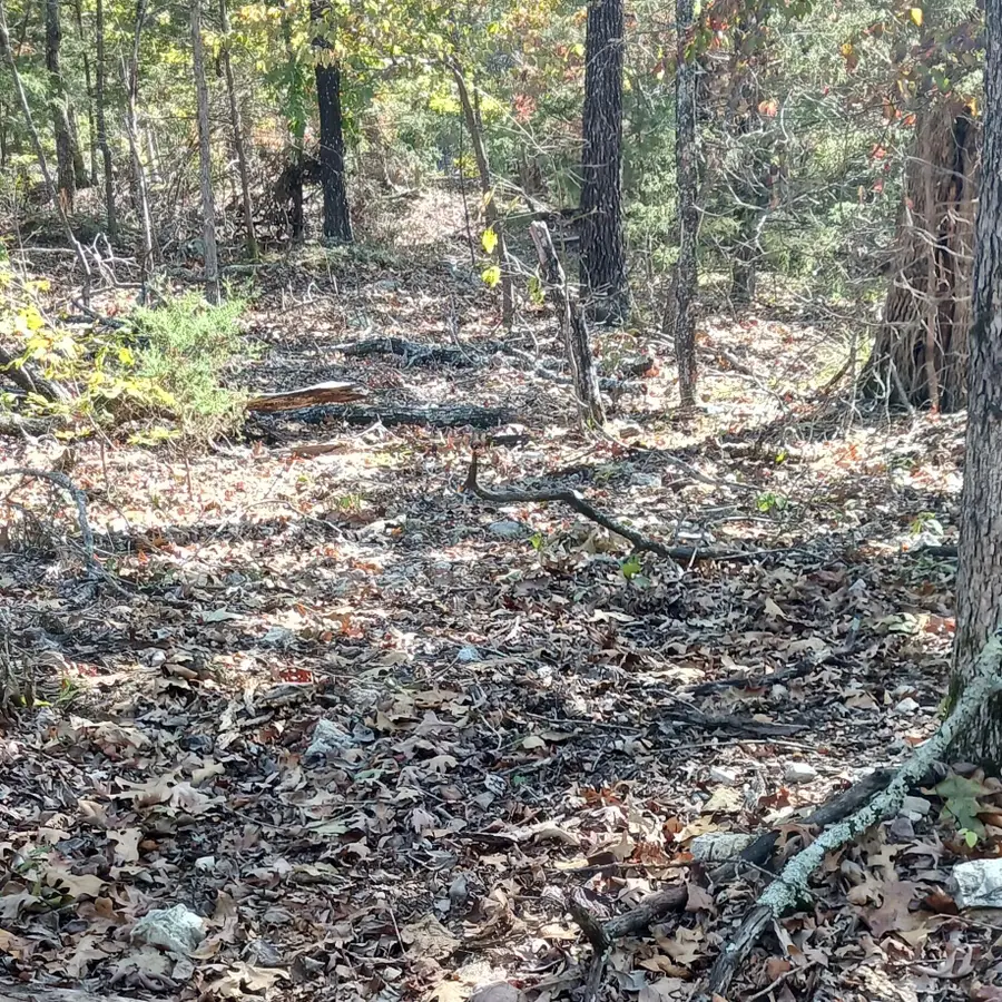 Lots 23,24 Forest St., Theodosia, MO 65761 - Image #3