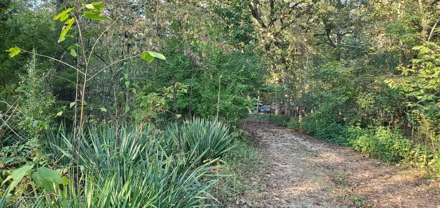 43 Thunder Road Road, Gainesville, MO 65655 - Image #2